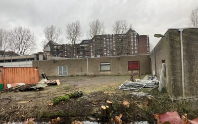 Bomenkap Van Loonlocatie ondanks bouwstop