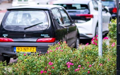 Reactie op gereguleerd parkeren